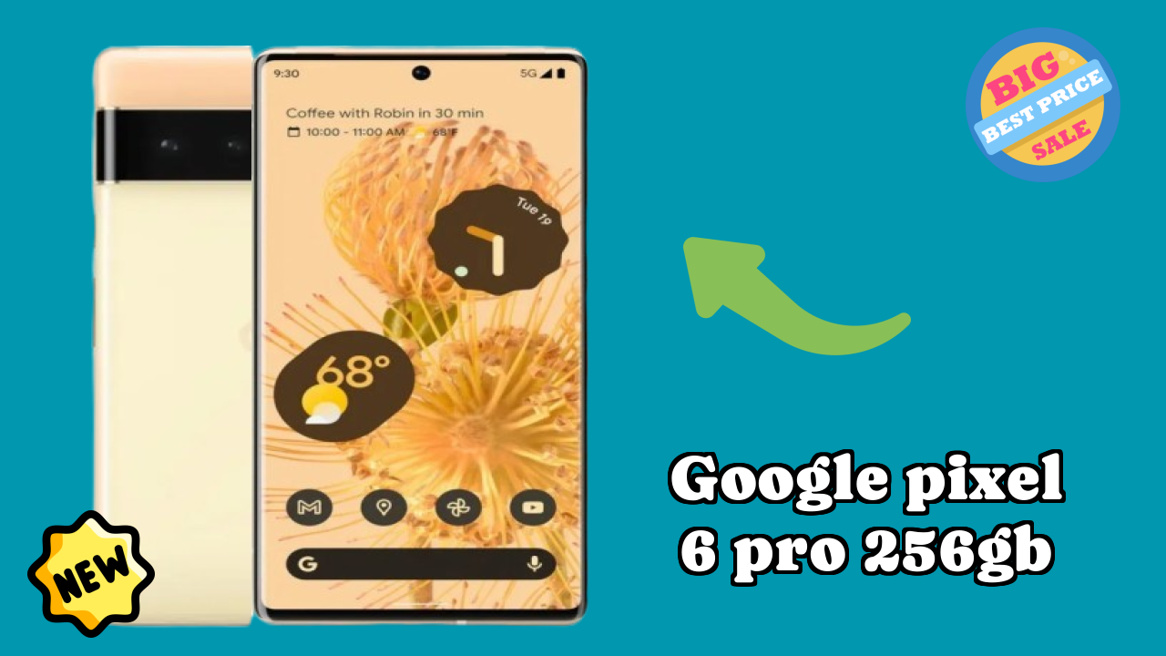Google Pixel 6 Pro 256GB कैमरा सैंपल: 50 MP + 12 MP + 48 MP Rear Camera क्वॉलिटी टेस्ट
